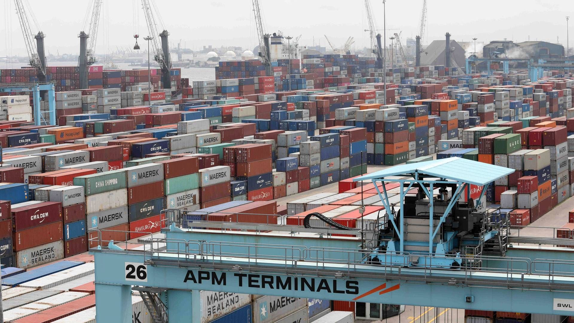 Det er over 7 mia. kr., som APM terminals har tænkt sig at investere, lyder det. | Foto: Temilade Adelaja/Reuters/Ritzau Scanpix