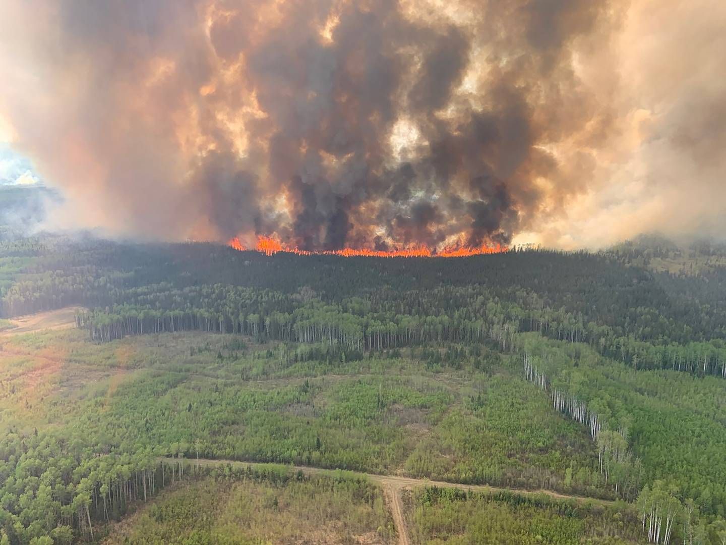 Skovbrande i Canada kan true USA's forsyning af olie, og derfor vil landet øge sin strategiske beholdning. | Foto: Alberta Wildfire/Reuters/Ritzau Scanpix