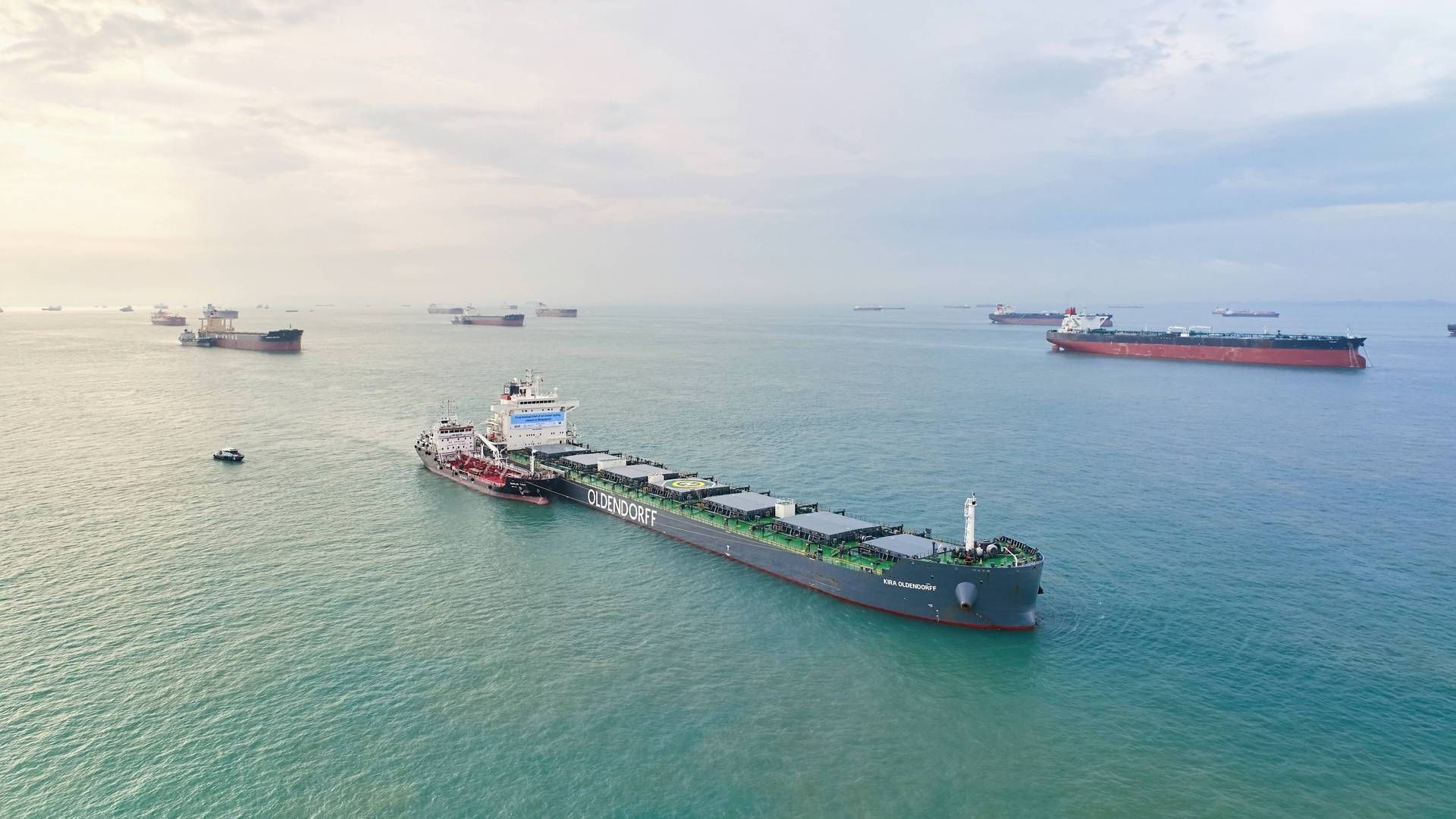 The world's biggest dry bulk carrier, Oldendorff, is part of a consortium seeking to establish a green corridor for iron ore | Photo: Grøn korridor fra Australian til Asien kan få ammoniakskibe om fem år