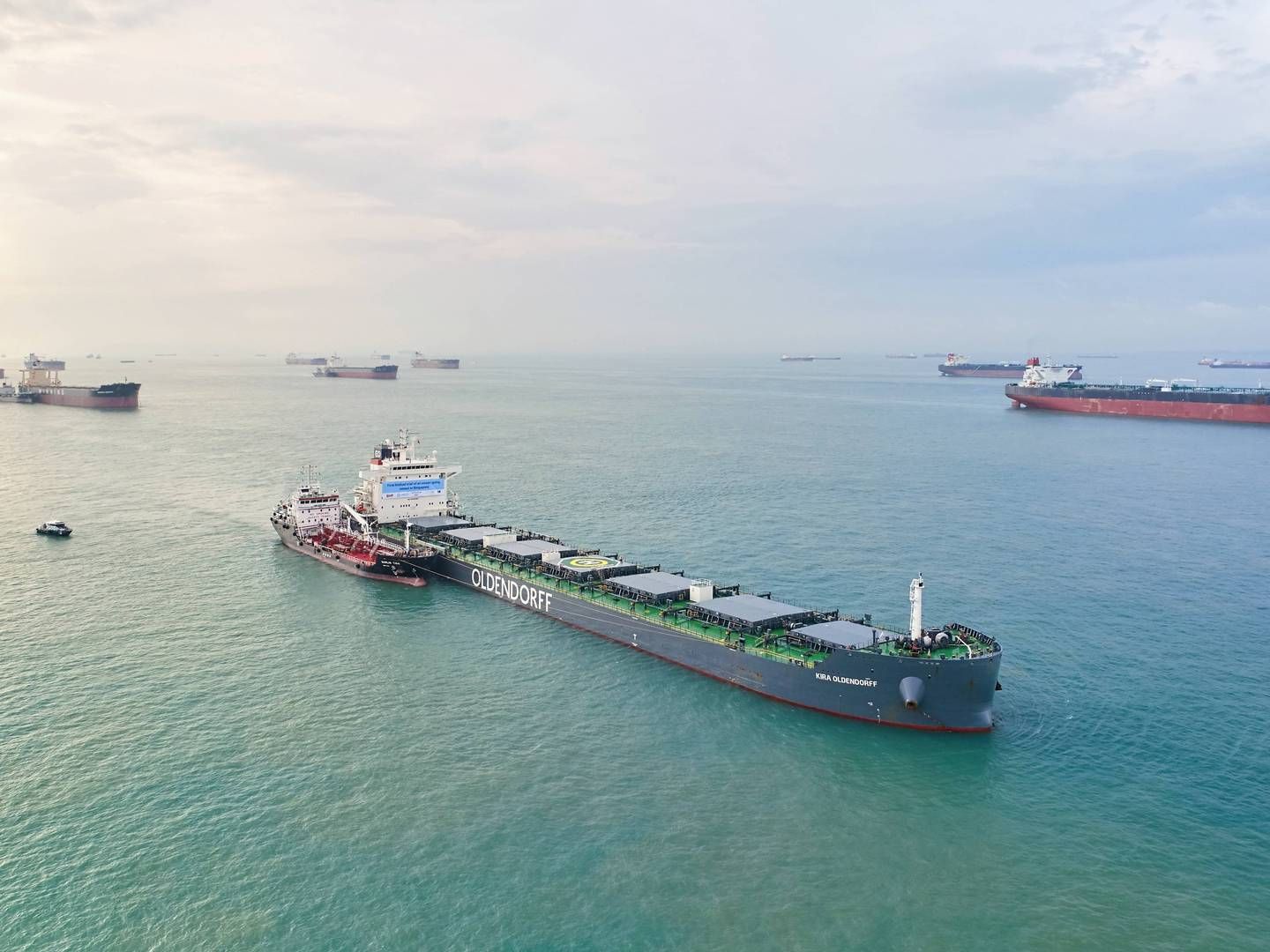 The world's biggest dry bulk carrier, Oldendorff, is part of a consortium seeking to establish a green corridor for iron ore | Foto: Grøn korridor fra Australian til Asien kan få ammoniakskibe om fem år