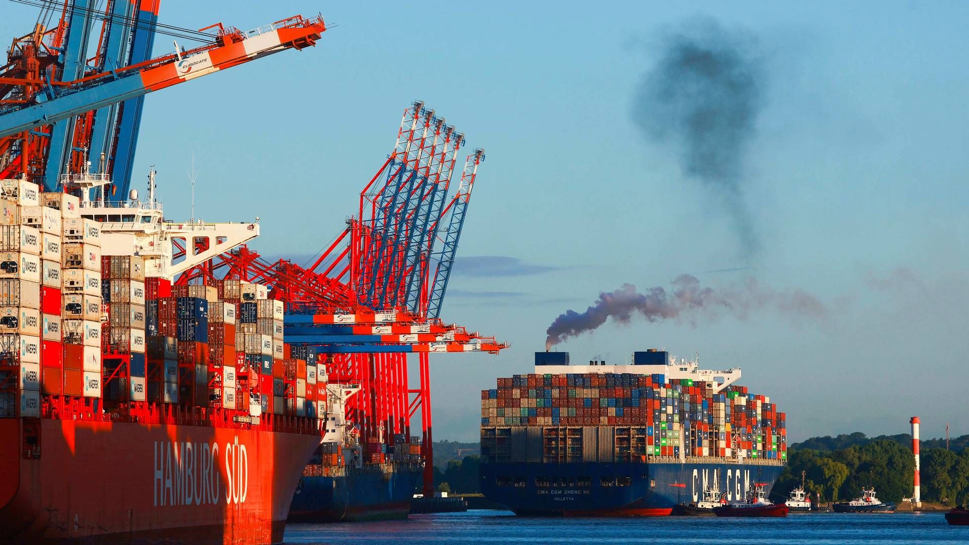 Danaos udlejer skibe til flere af de store containerrederier som HMM og CMA CGM. | Foto: Christian Charisius/AP/Ritzau Scanpix