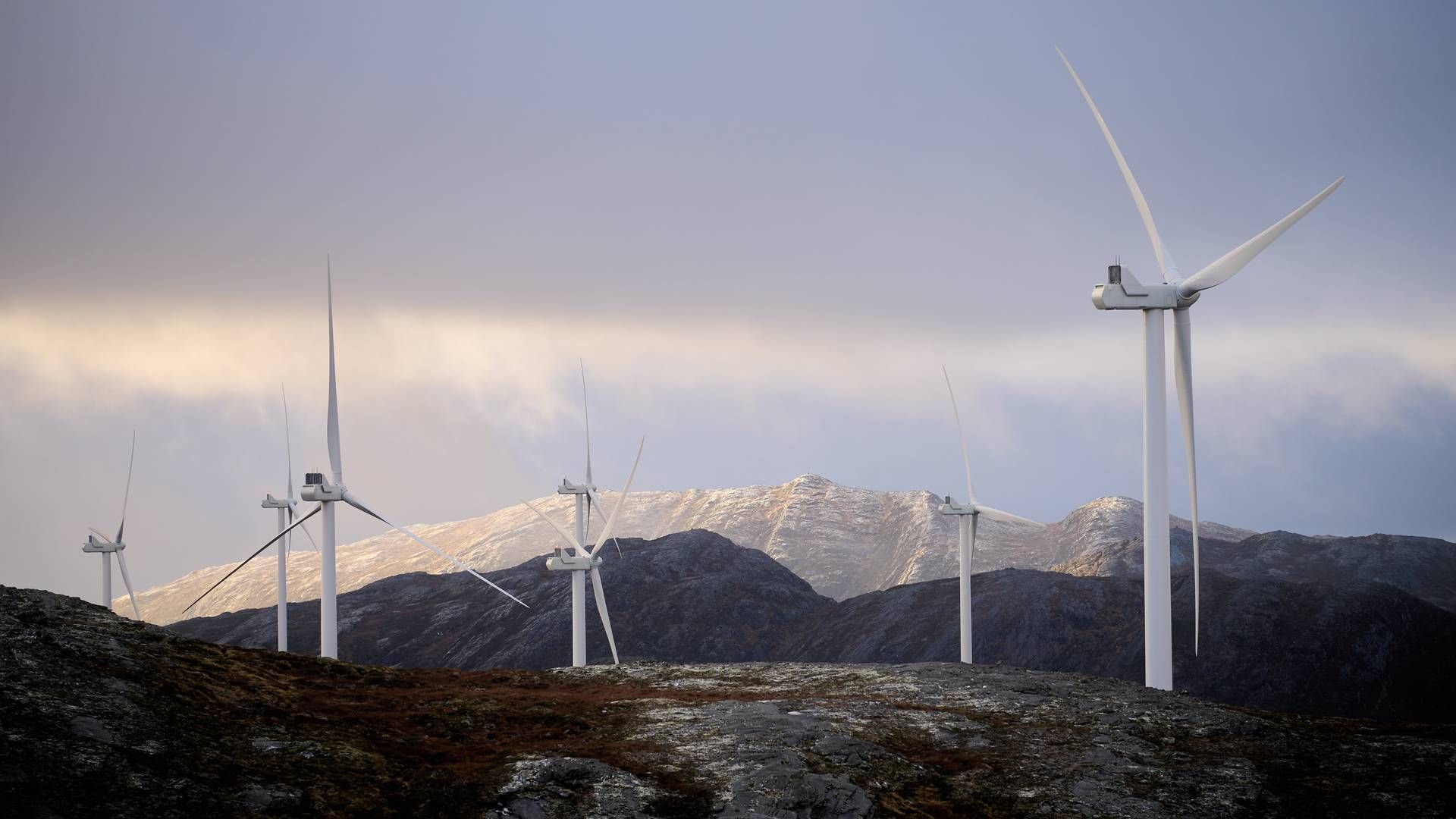 65 PROSENT: Utenlandske selskaper eier 65 prosent av norsk vindkraft. | Foto: Ole Martin Wold / NTB