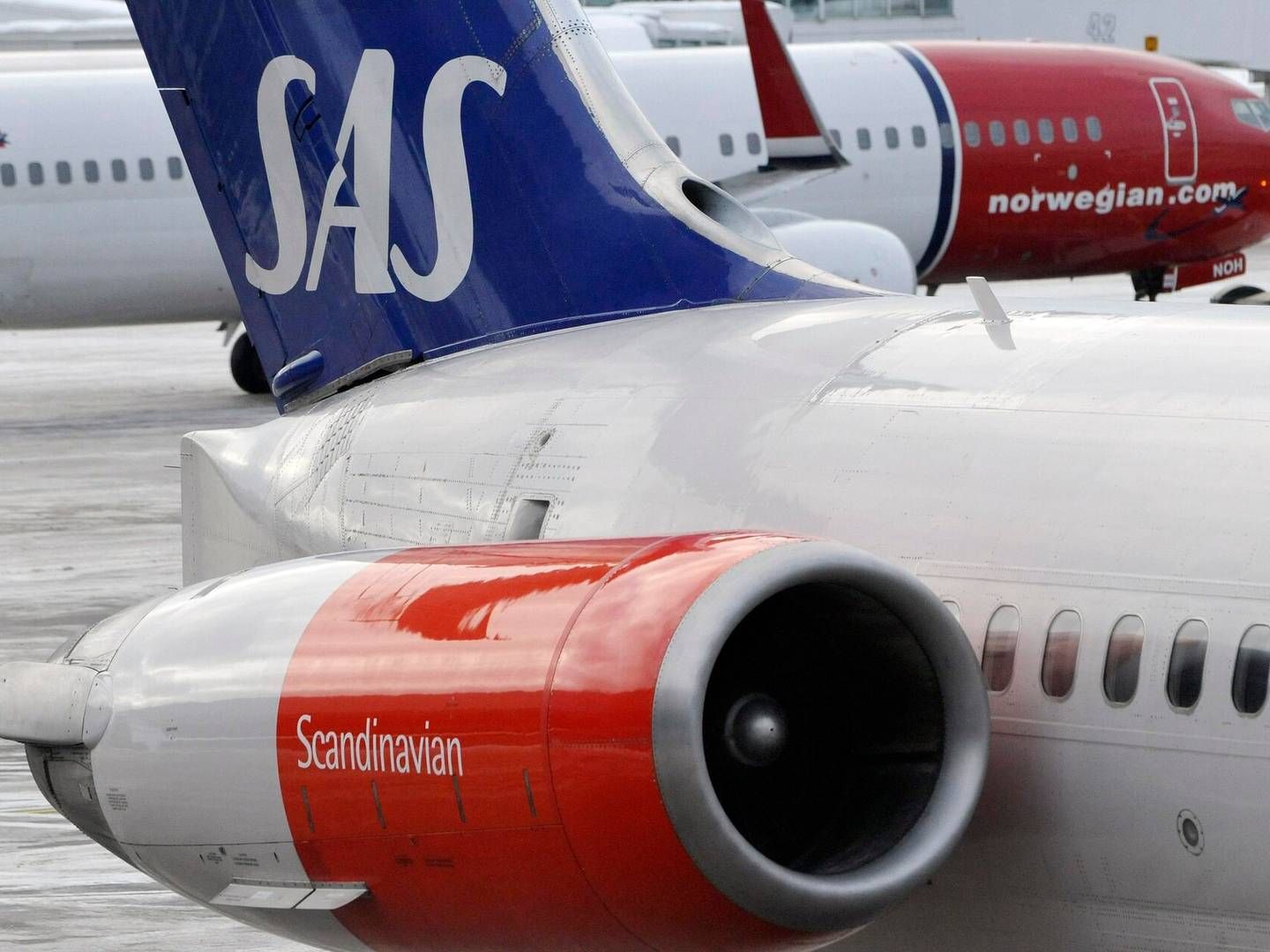En passagerafgift er ikke lig med mere bæredygtig luftfart, mener blandt andet bæredygtighedschef i SAS. | Foto: Scanpix Sweden/Reuters/Ritzau Scanpix