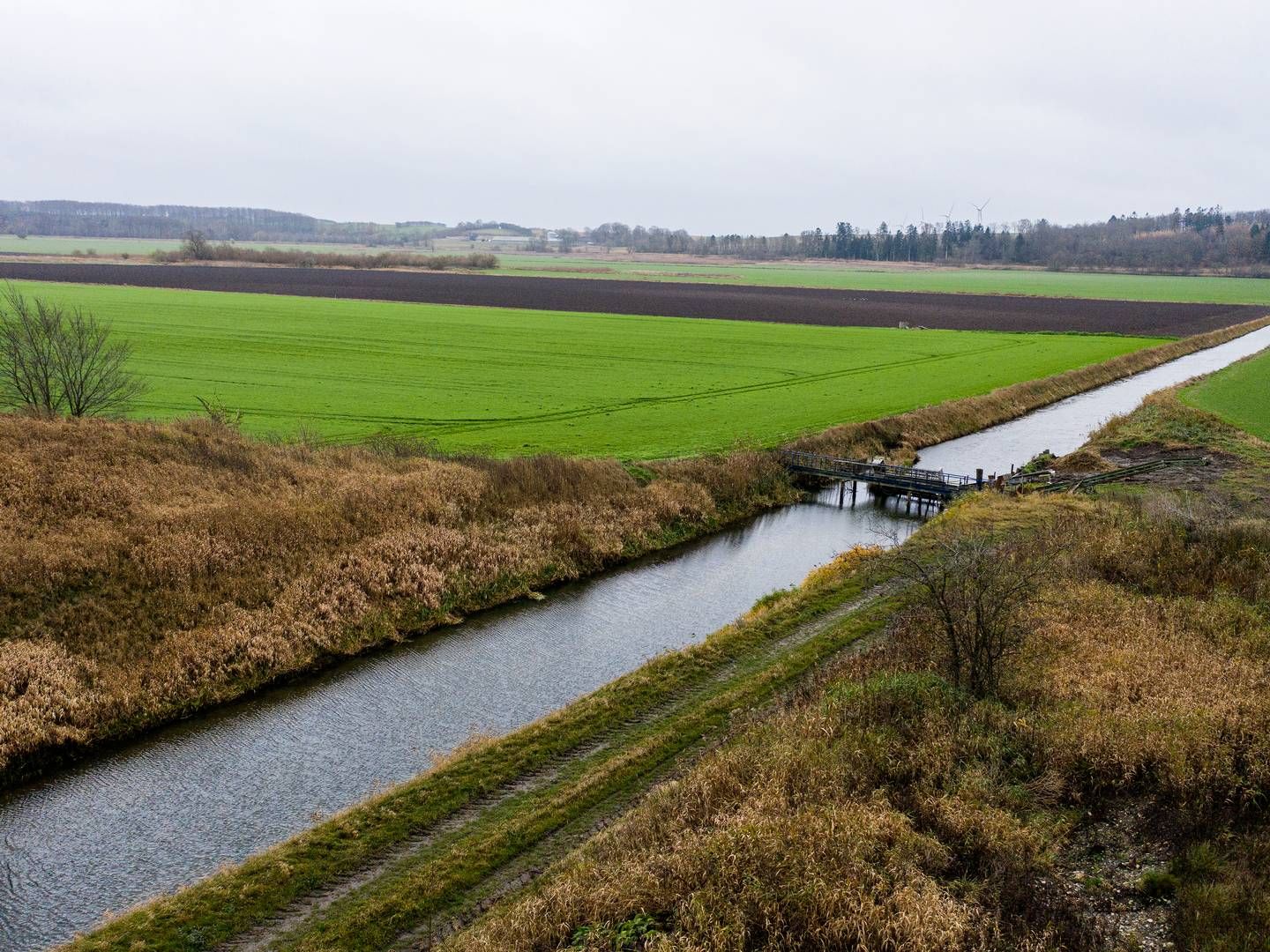 Et biogasanlæg på Djursland er nu et skridt tættere på at blive virkelighed. | Foto: Casper Dalhoff