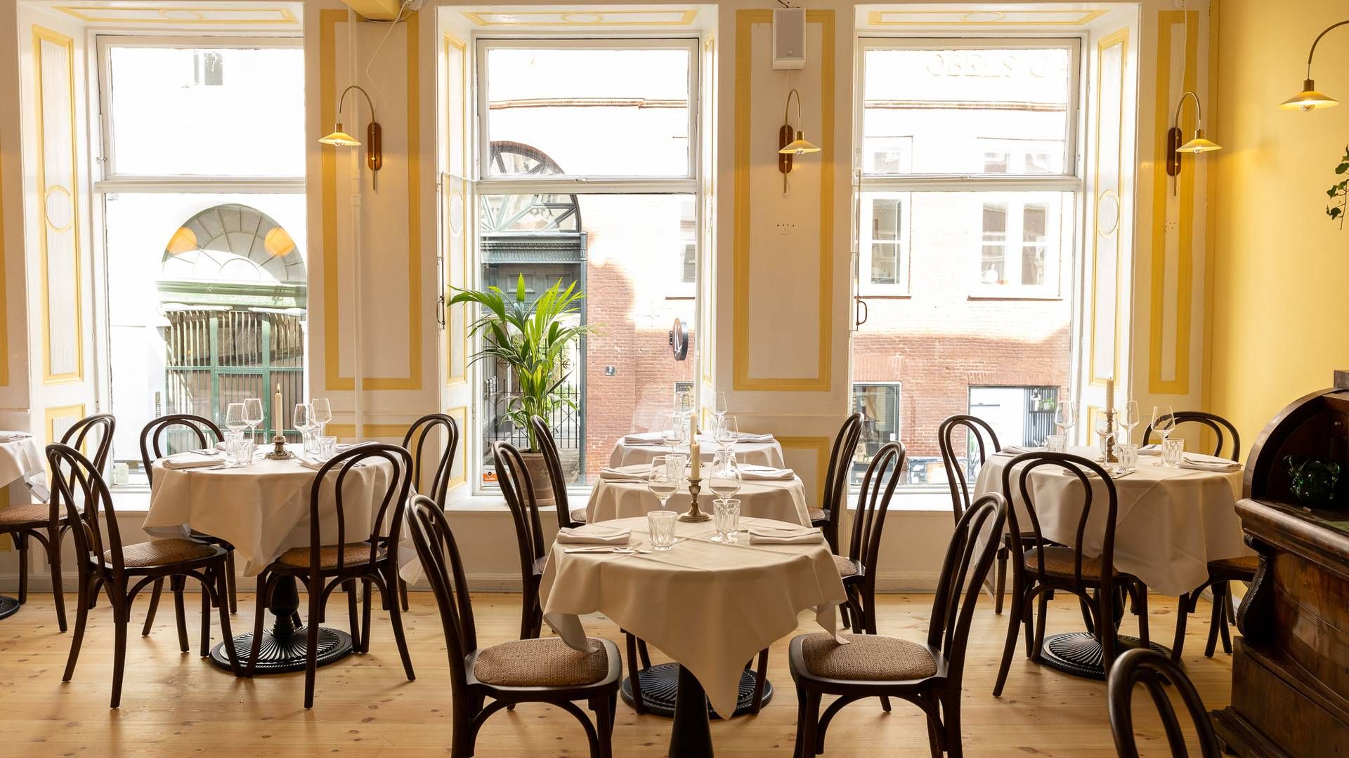 Restaurant Gabrielle åbnede i sidste uge på Vestergade i København. | Foto: Pr / Norrlyst