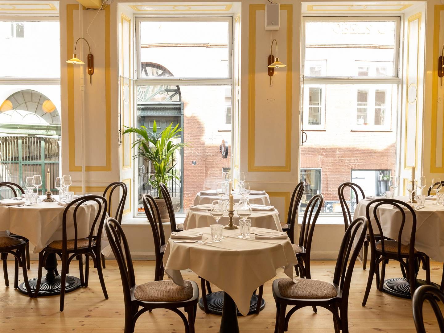 Restaurant Gabrielle åbnede i sidste uge på Vestergade i København. | Photo: Pr / Norrlyst