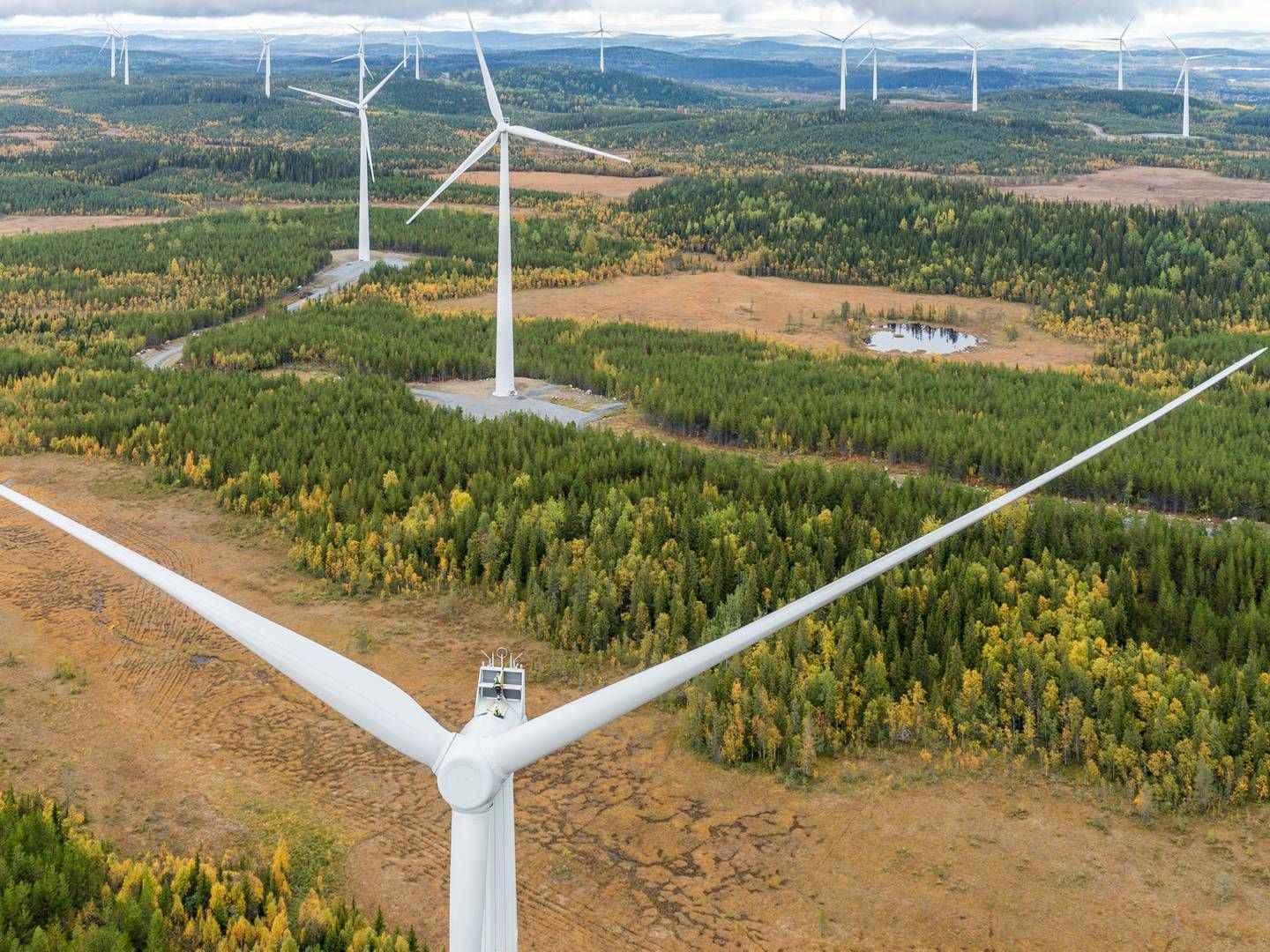 Mølleproducenten Siemens Gamesa har sendt ny landmølle afsted, der skal fange interessen på det amerikanske marked. | Foto: Siemens Gamesa