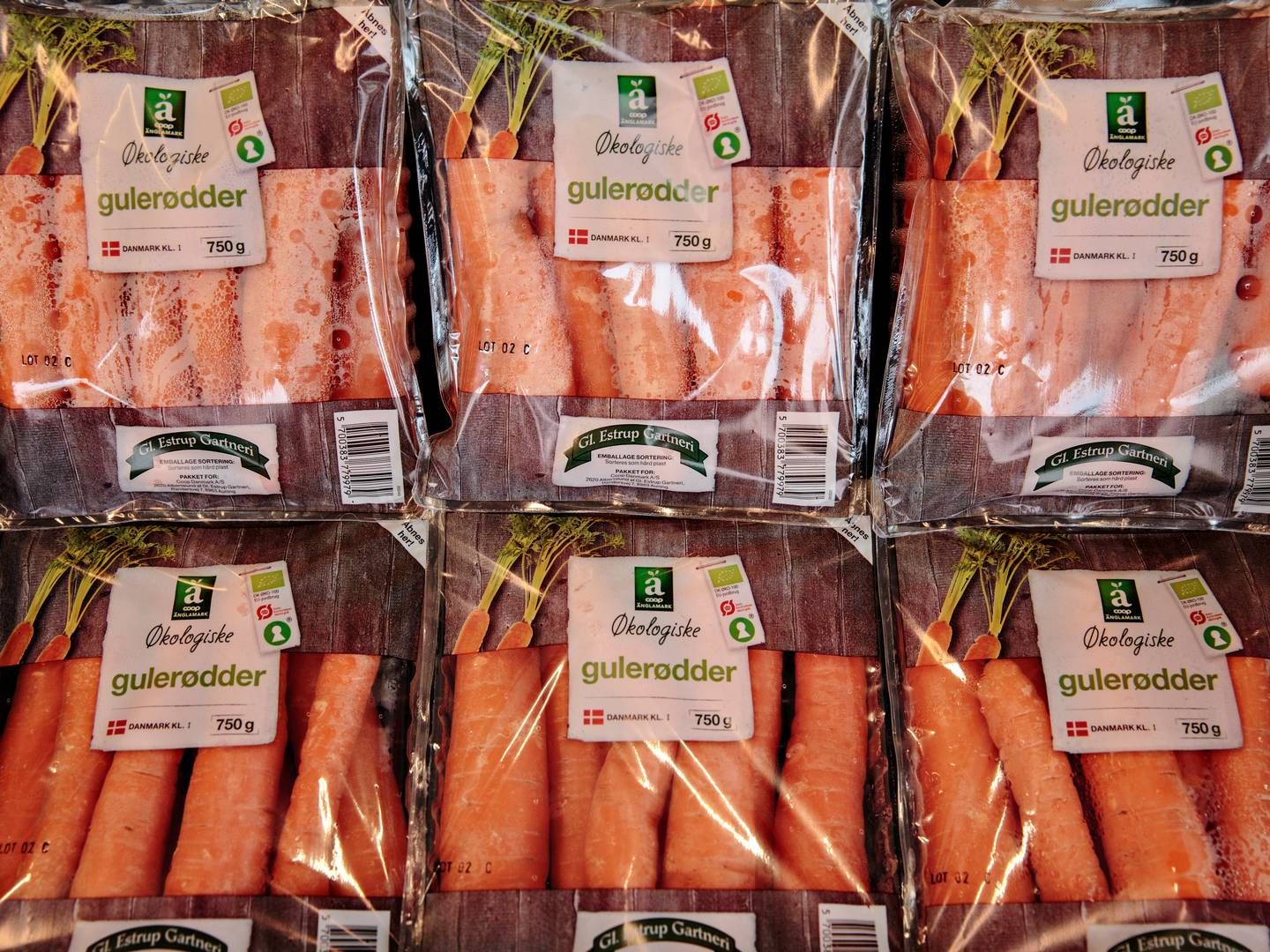 Gl. Estrup Gartneris grøntsager bliver solgt i en række danske supermarkeder, og det har vist sig at være en profitabel forretning | Foto: Miriam Dalsgaard