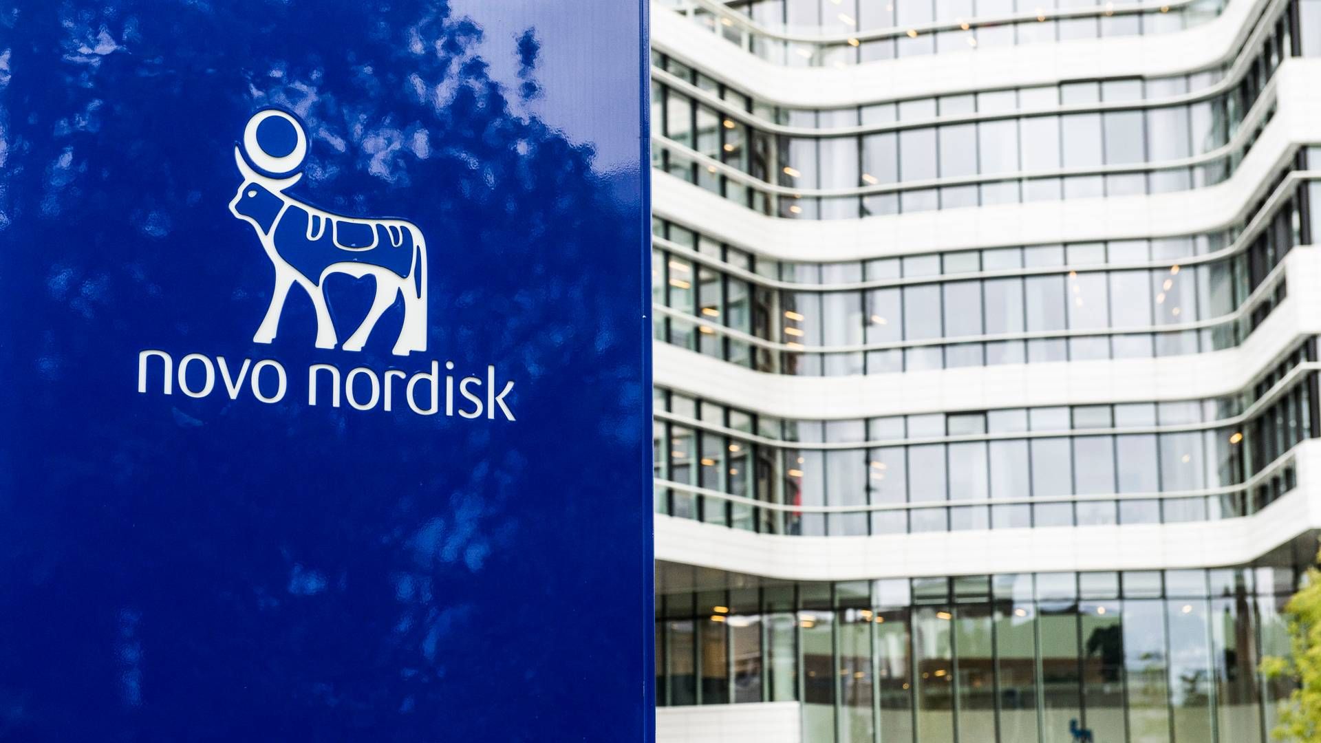 Novo Nordisks partner Heartseed er trådt et skridt nærmere målet om at få en stamcellebehandling på markedet, som Novo Nordisk har rettighederne til verden over, Japan undtaget. | Foto: Tidsvilde Stine/Ritzau Scanpix