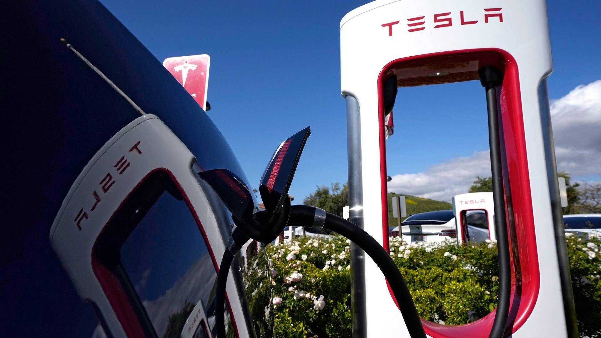 Aftalen giver Ford adgang til 12.000 af Teslas lynopladere ved årsskiftet. | Foto: Mark J. Terrill/AP/Ritzau Scanpix