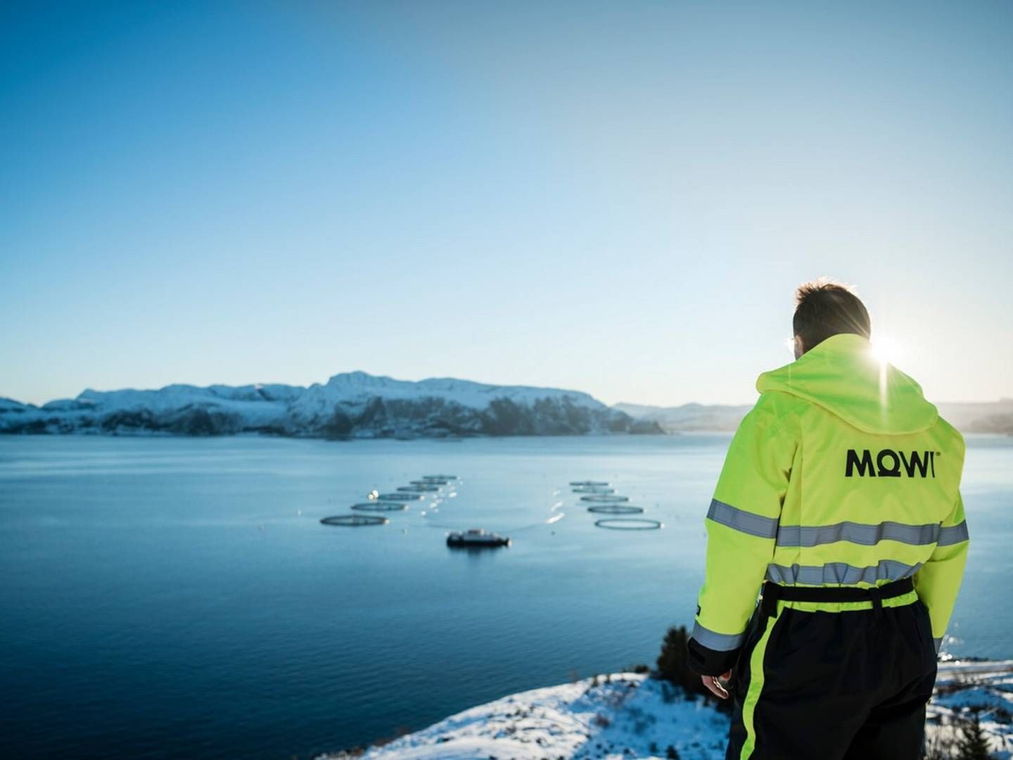 Mowi har gennem hele tovtrækkeriet om den norske lakseskat været en stor modstander af indførelsen af en afgift på landets opdræt. | Foto: Mowi/pr
