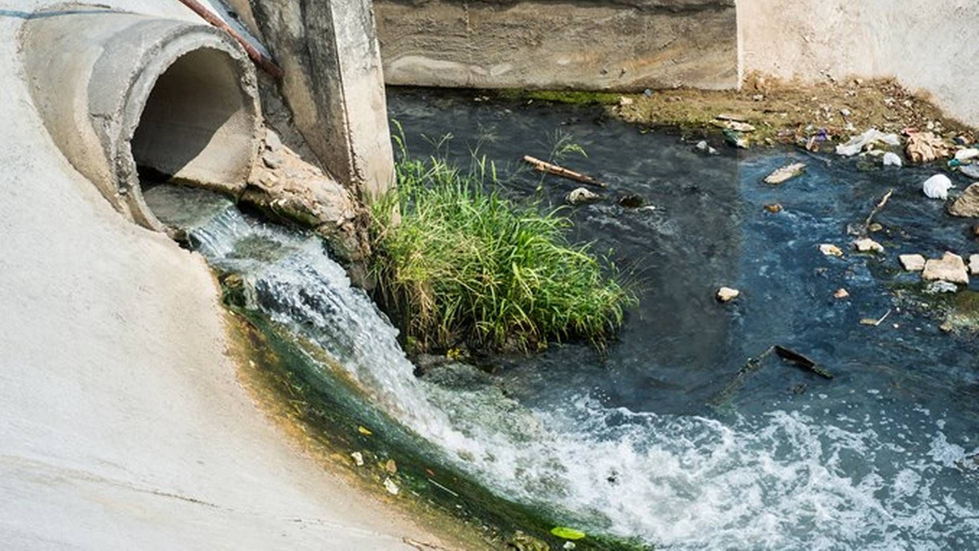 92 procent af de miljøfarlige stoffer i Europas byspildevand stammer ifølge EU-Kommissionen fra medicin- og kosmetikprodukter. | Foto: Miljøstyrelsen
