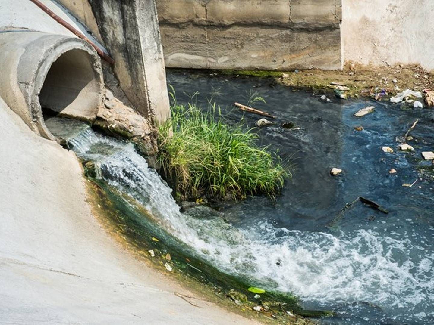 92% of environmentally hazardous drugs in Europe’s wastewater comes from pharmaceuticals and cosmetics, according to the EU Commission | Foto: Miljøstyrelsen