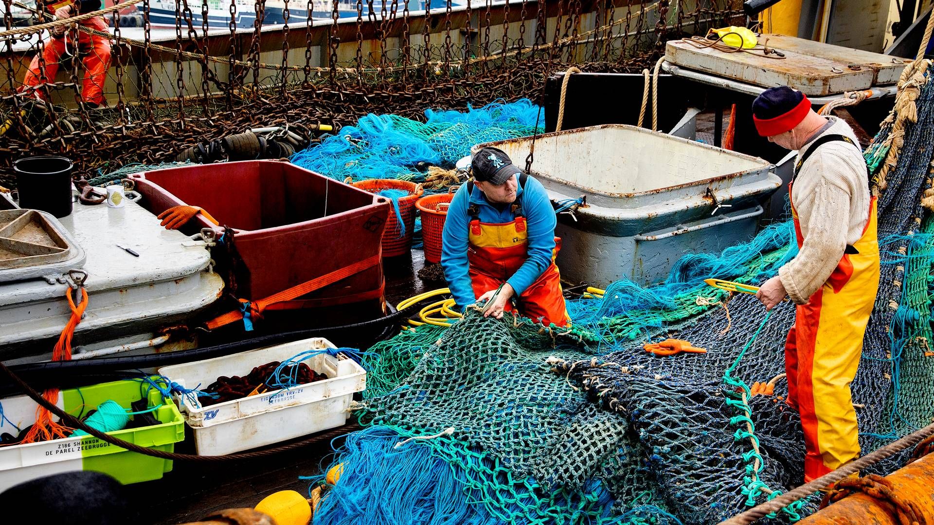 EU's fiskeri skal gøres mere digitalt med bl.a. overvågning. | Foto: Finn Frandsen