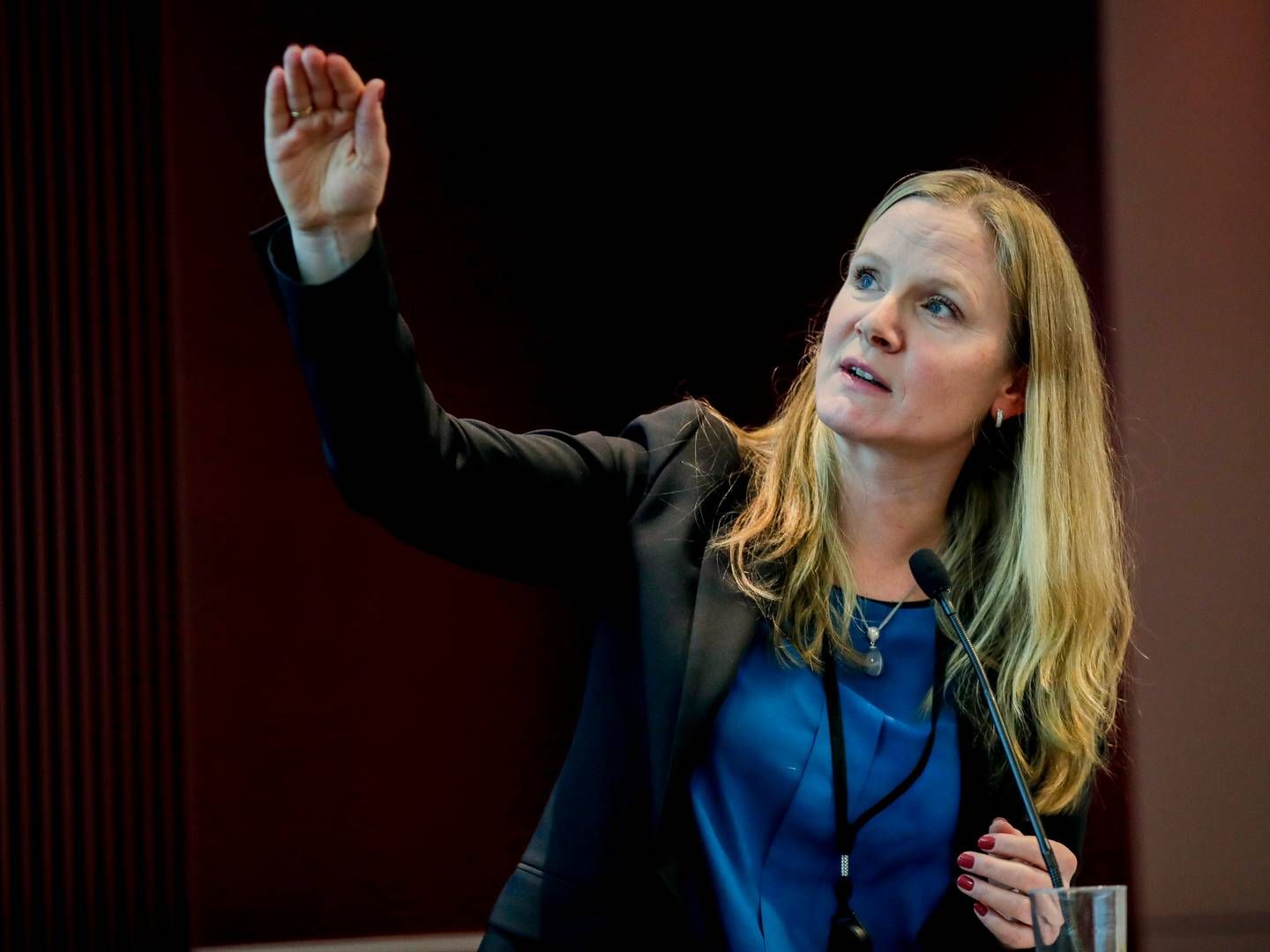 VIL REDUSERE ANTALL STYRER: Forskningsrådets direktør Mari Sundli Tveit vil ha færre porteføljestyrer. | Foto: Vidar Ruud / NTB