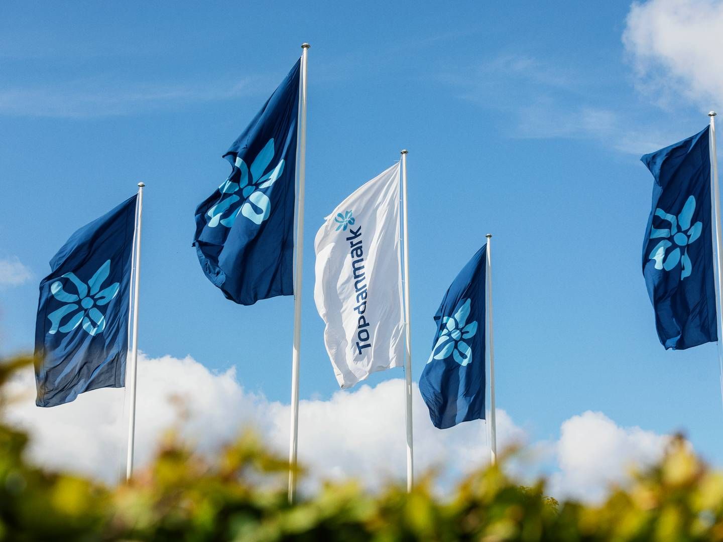 Topdanmark er landets tredjestørste forsikringsselskab. | Foto: Topdanmark