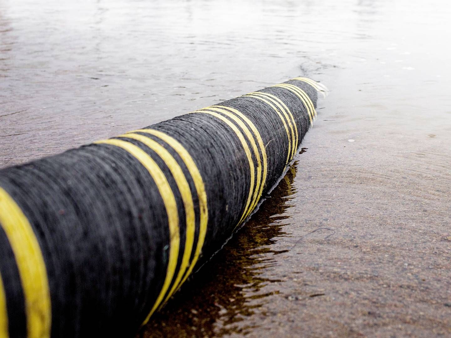 NKT expects to land a large order regarding high-voltage cables for offshore wind turbines in Poland. The picture shows cables in the waters near Karlskrona, Sweden. | Foto: Nkt