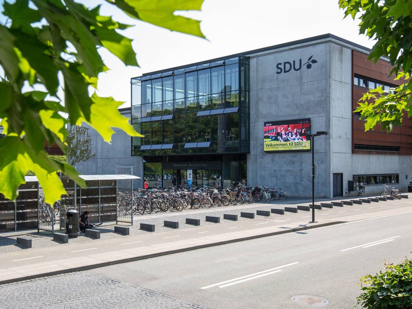 Efter sommerferien kan man læse jura på Syddansk Universitet (SDU) i både Odense og Esbjerg. | Photo: Sdu / Pr