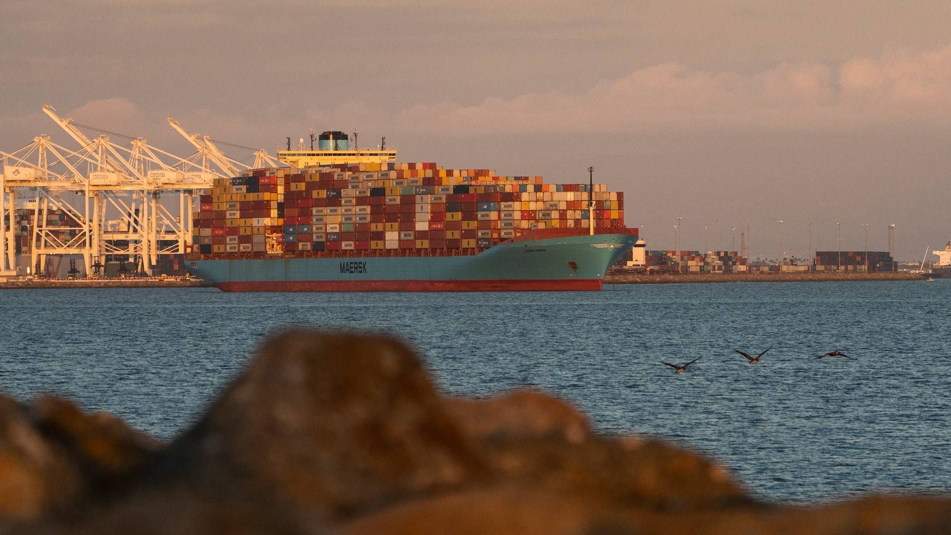Maersk has previously warned that ship queues could materialize if the ports of Los Angeles and Long Beach are hit by labor conflicts. Maersk is one of the largest employers at the ports through its company APM Terminals. | Photo: Damiian Dovarganes/AP/Ritzau Scanpix