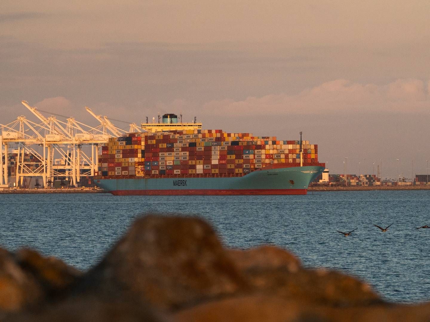 Mærsk har tidligere advaret om, at det kan føre til køer af skibe, hvis havnene i Los Angeles og Long Beach bliver ramt af en arbejdskonflikt. Mærsk er selv en af de største arbejdsgivere i havnen gennem sit havneselskab APM Terminals. | Foto: Damiian Dovarganes/AP/Ritzau Scanpix