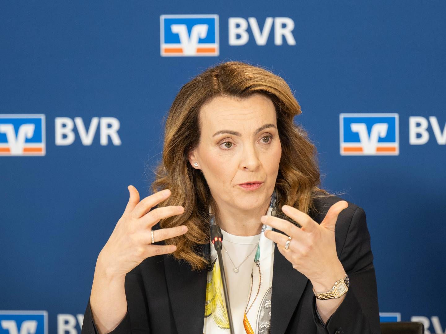 Marija Kolak, Präsidentin des BVR, bei einer Pressekonferenz des Verbands im Januar 2023. | Photo: BVR / Wonge Bergmann