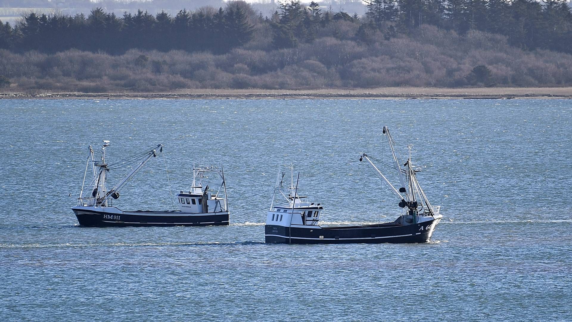 Muslingefiskeri vil blive ramt af den nye Havplan, forudser fisker. | Foto: Ernst van Norde