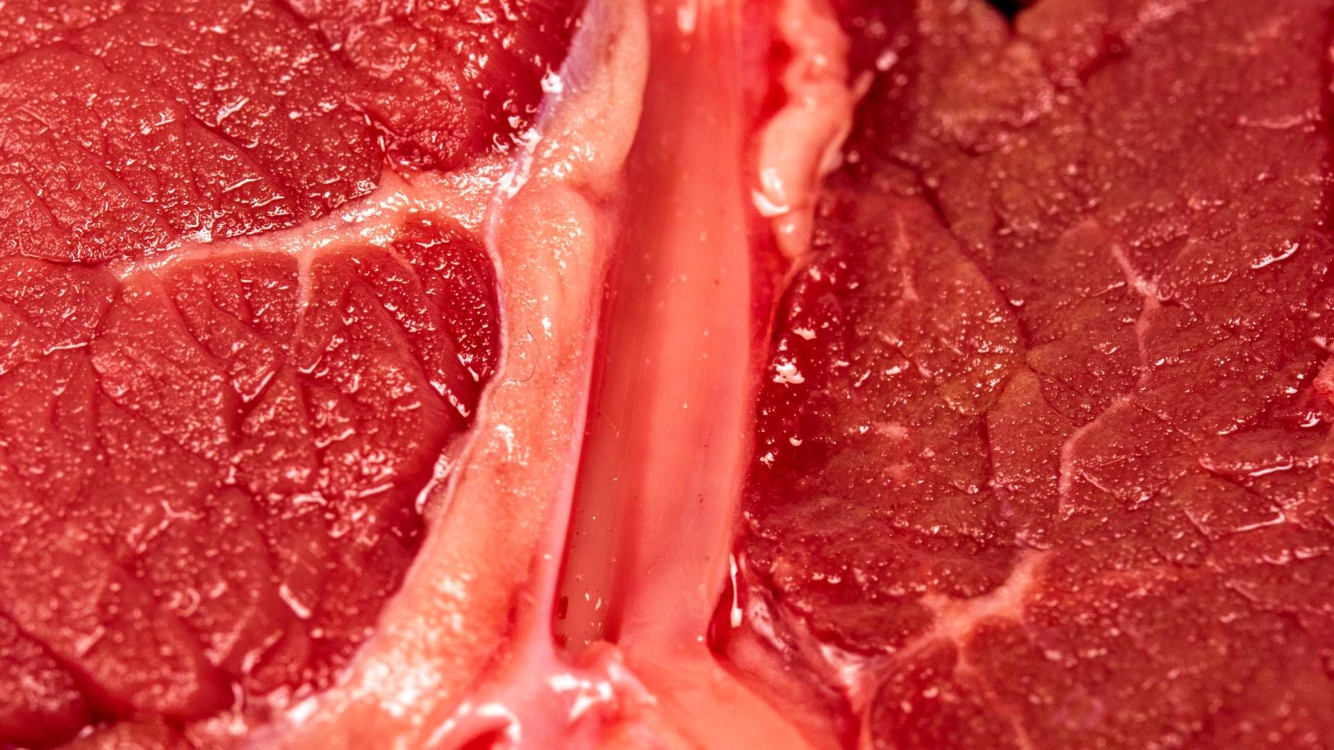 Sagen er ikke så bøf for Vion Food Group. Manglen på kreaturer medføre nu lukning af slagteri. | Foto: Miriam Dalsgaard