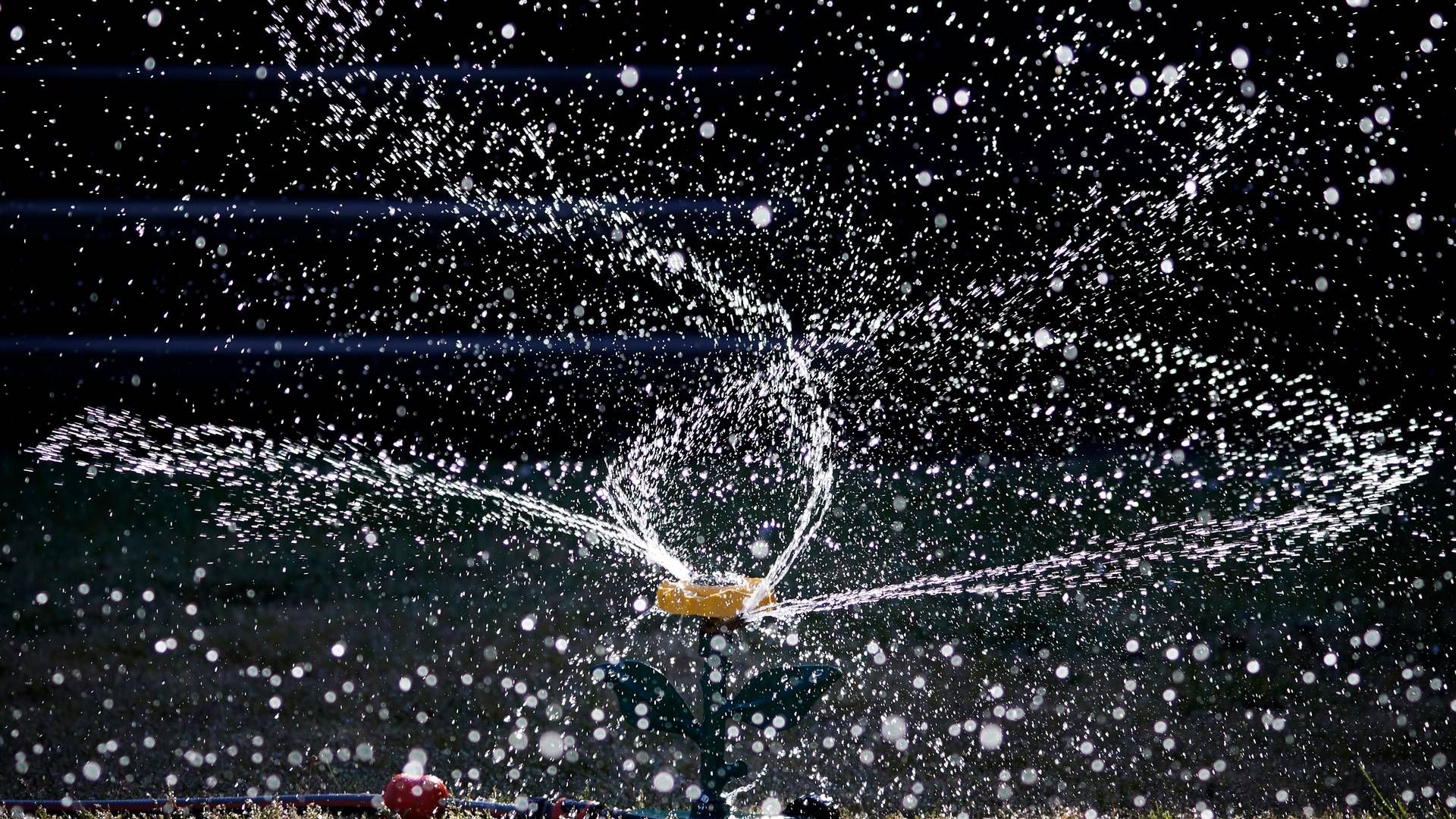 Forsyningsselskaberne oplever usædvanlig højt vandforbrug i den aktuelt meget tørre periode. | Foto: Jens Dresling