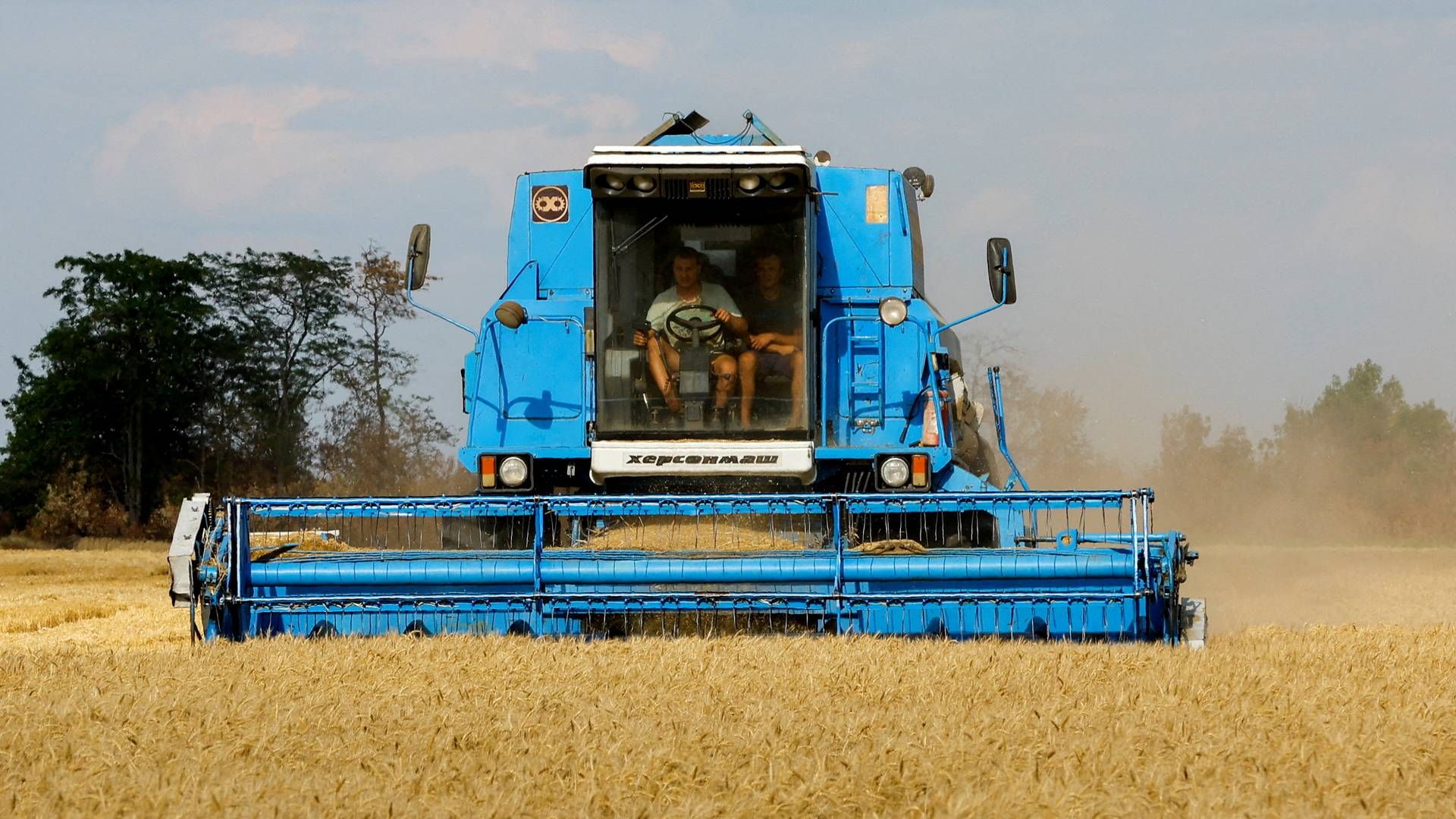 Høsten er så småt sat ind i Ukraine. | Foto: Alexander Ermochenko