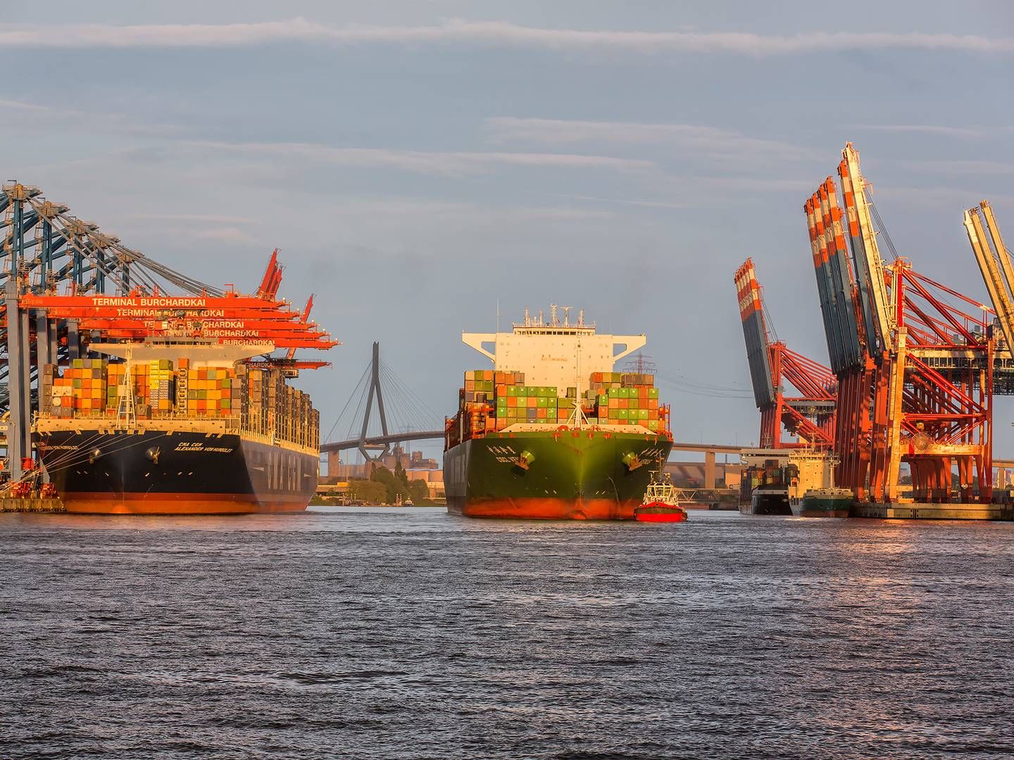 Det statsejede kinesiske selskab Cosco Shipping Ports har nu afsluttet aktieopkøb i containerterminal i Hamborg. | Foto: Pr / Dietmar Hapenpusch / Port of Hamburg Marketing Association