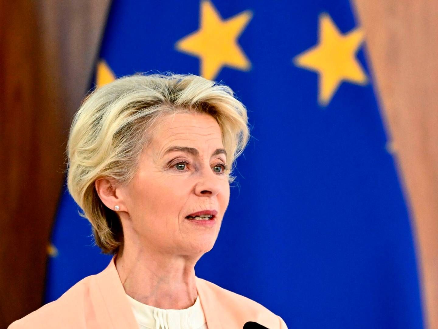 Ursula von der Leyen vil sørge for, at kvanteteknologi og kunstig intelligens ikke bliver brugt militært "hos lande, der vækker bekymring." | Foto: Evaristo Sa/AFP/Ritzau Scanpix