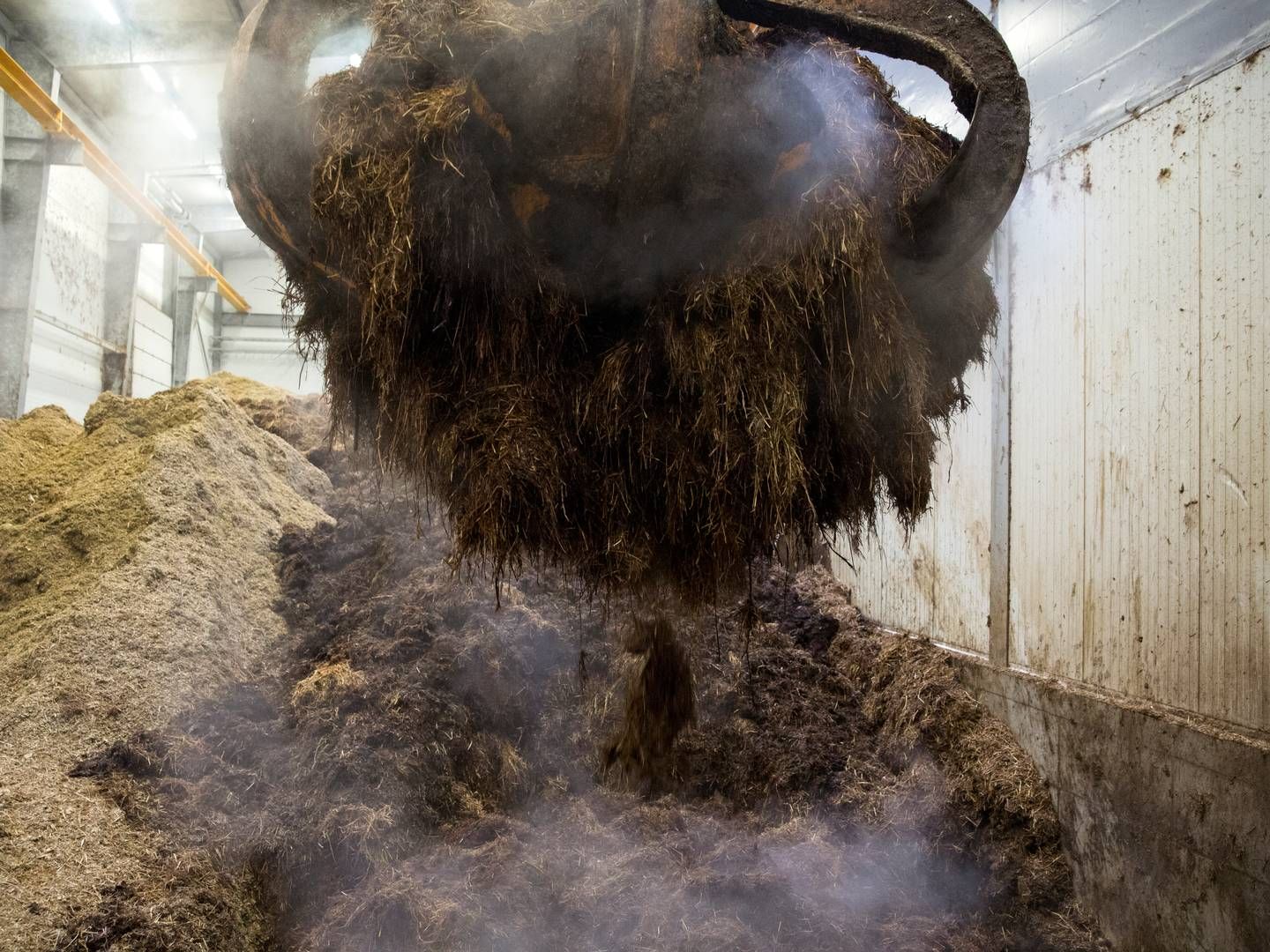 Den fynske biogasproducent Lars Langskov Nielsen ser ind i en fordobling af kapaciteten. | Foto: Louise Herrche Serup