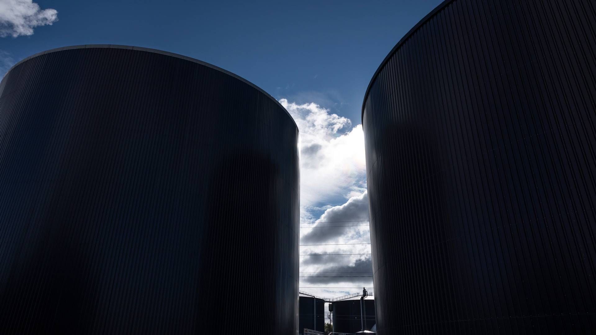 BB Biogas er en blandt flere selskaber ejet af svineproducenten Daniel Overgaard Pedersen. | Foto: Christian Falck Wolff