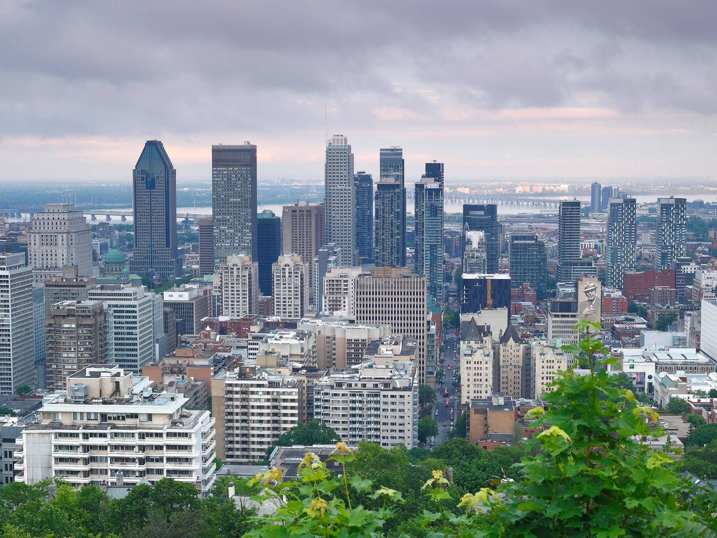 Blick auf die Skyline von Montreal. | Foto: picture alliance / imageBROKER | Guenther Schwermer