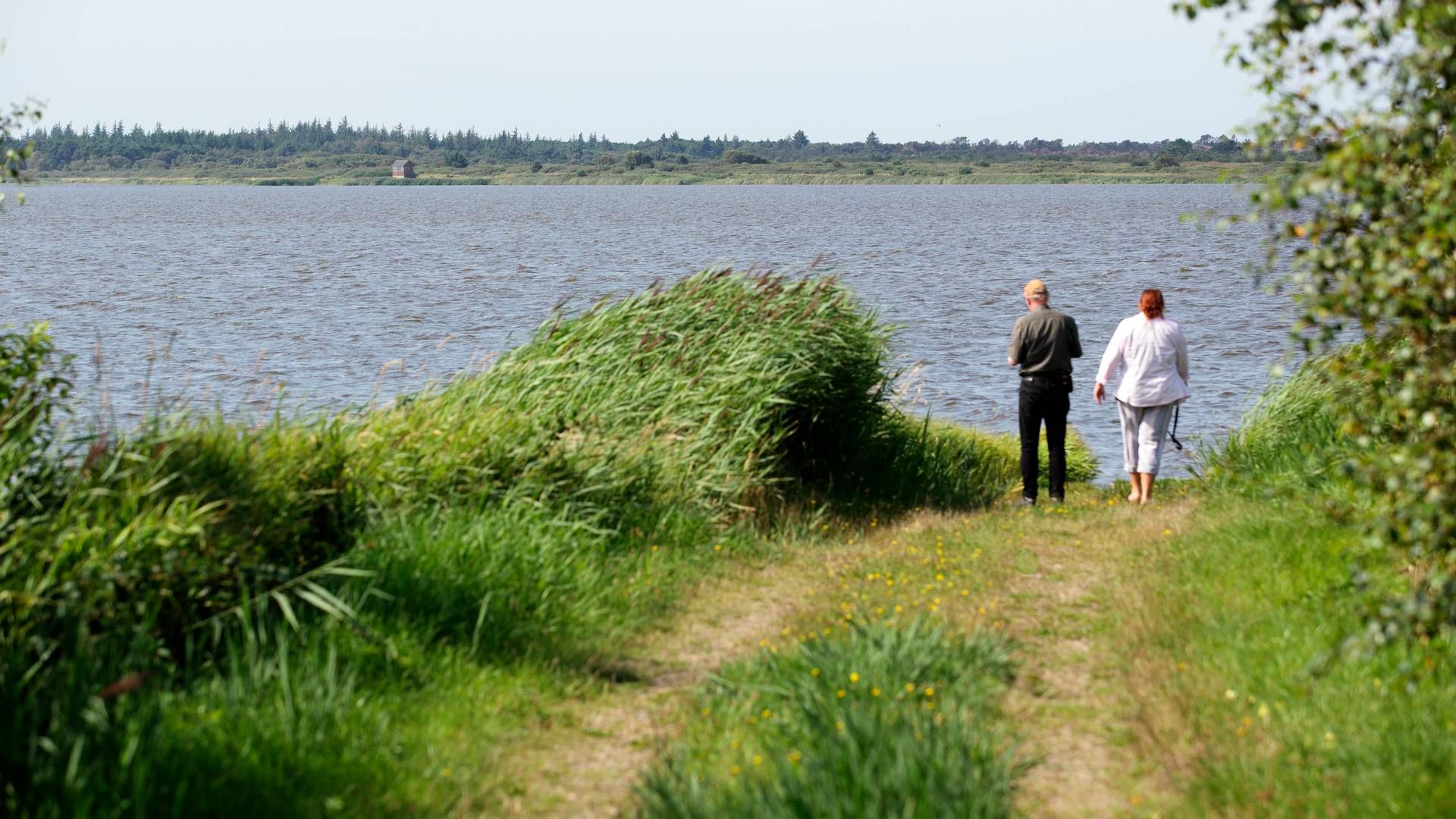 Aage V. Jensens Naturfond erhvervede i 2010 Filsøområdet og genoprettede søen. | Foto: Morten Langkilde