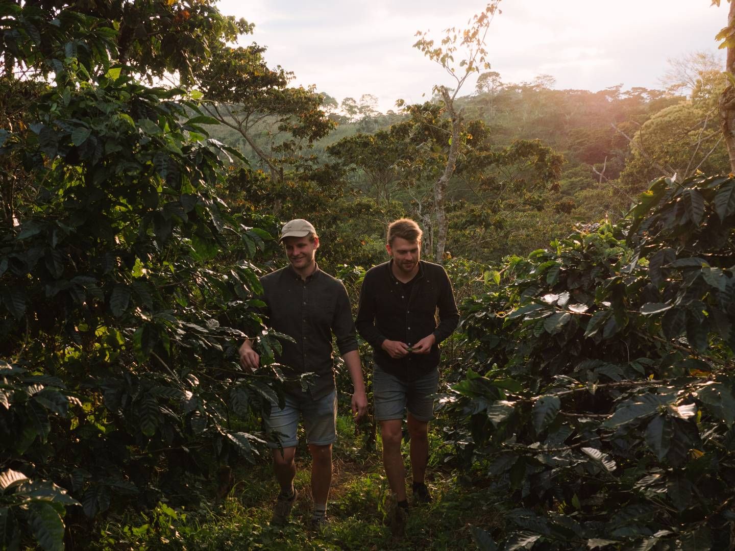 Ønsk er stiftet i 2017 af Andreas Kirk (tv.) og Rasmus Ditlev (th.). Selskabet har til formål at arbejde tæt sammen med kaffebønder i Nicaragua og Peru, for at fodre en klimavenlig produktion af kaffe. | Foto: Ønsk Kaffe / Pr