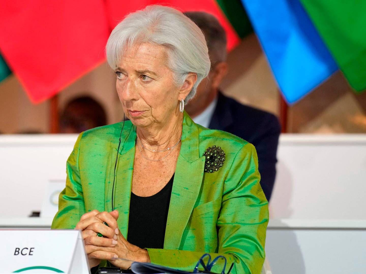 Christine Lagarde er chef for Den Europæiske Centralbank. | Foto: Lewis Joly/AFP/Ritzau Scanpix