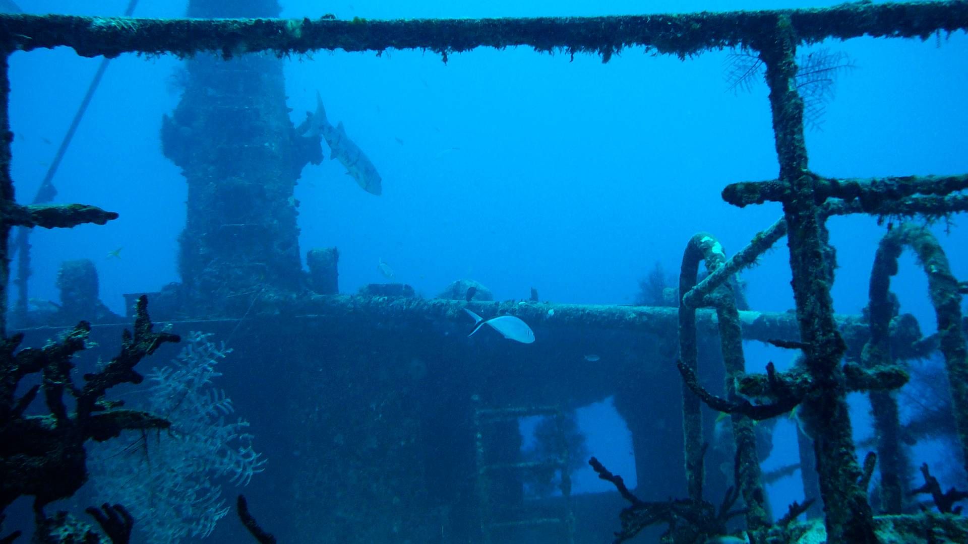 Dykning ved Mexicos kyster byder bl.a. på sunkne skibe. I fremtiden kan undervandsrobotter stå for undervandsinspektion af skibe og skabe digitale 3D-modeller af skibsskrog. | Foto: Johnny Frederiksen