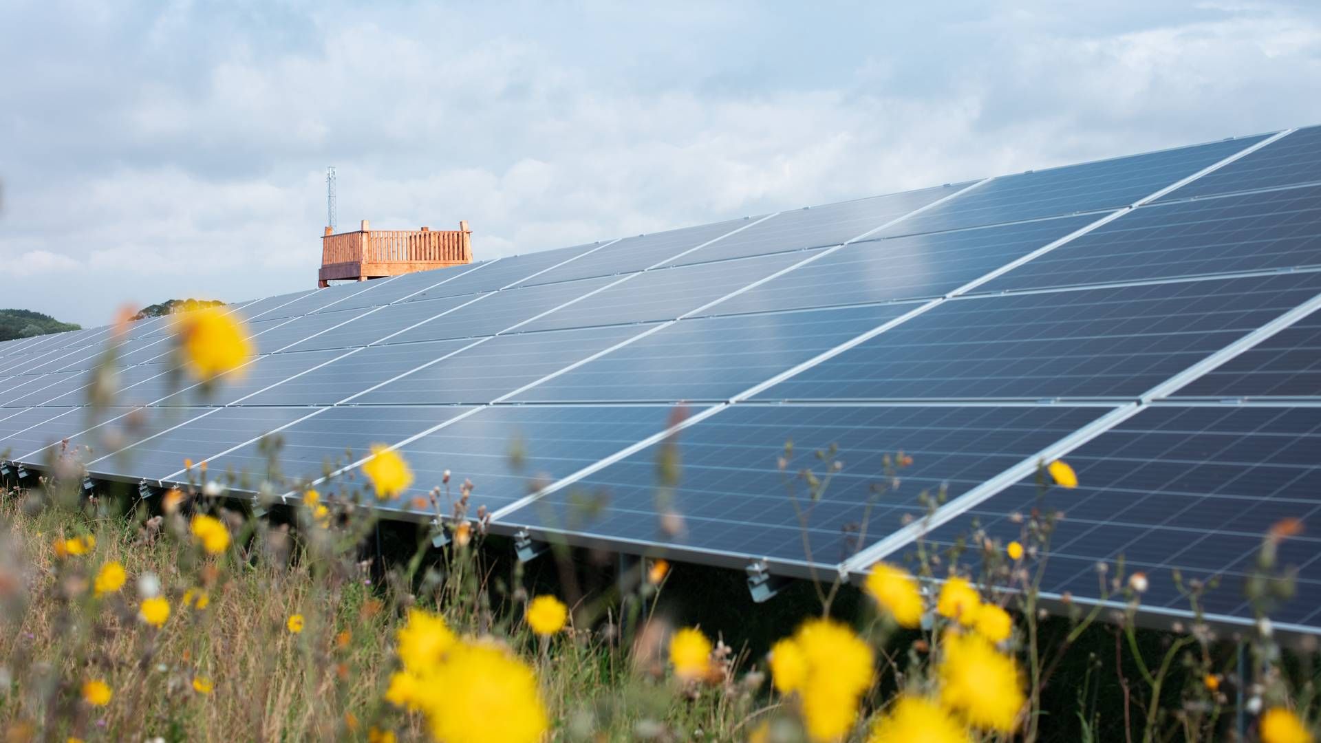 "Better Energy has proven that they are able to develop, build and connect to the grid some of Poland's largest solar farms," says Helle Ærendahl Heldbo, head of alternative investments. | Photo: Better Energy