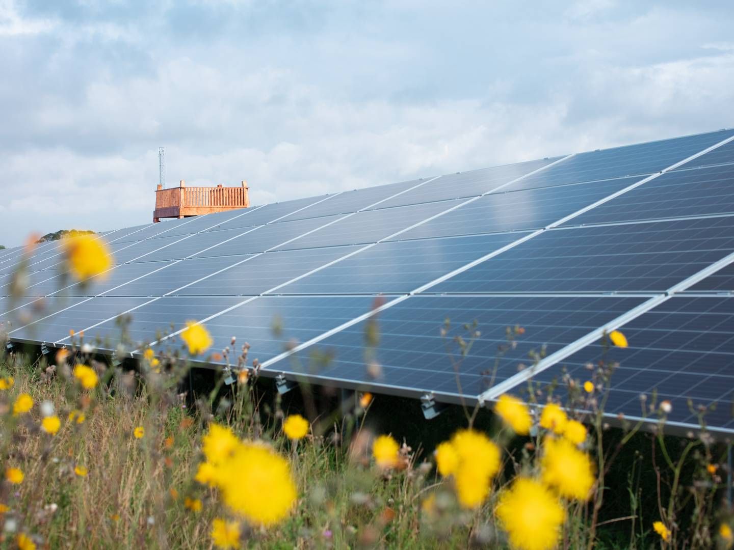 "Better Energy has proven that they are able to develop, build and connect to the grid some of Poland's largest solar farms," says Helle Ærendahl Heldbo, Head of Alternative Investments at AP Pension, which is now lending Better Energy EUR 65m to set up solar farms in Poland. | Photo: Better Energy