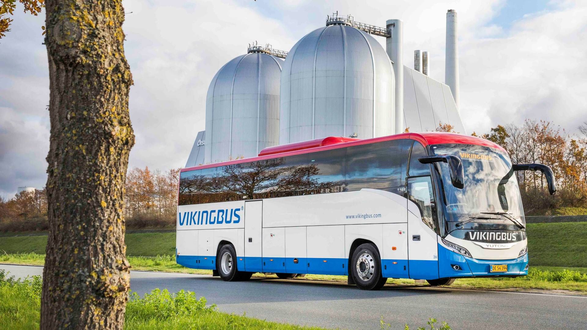 Det kapitalfondsejede Vikingbus forventer, at indtjeningen går "markant" frem i 2023. | Foto: Vikingbus / Pr