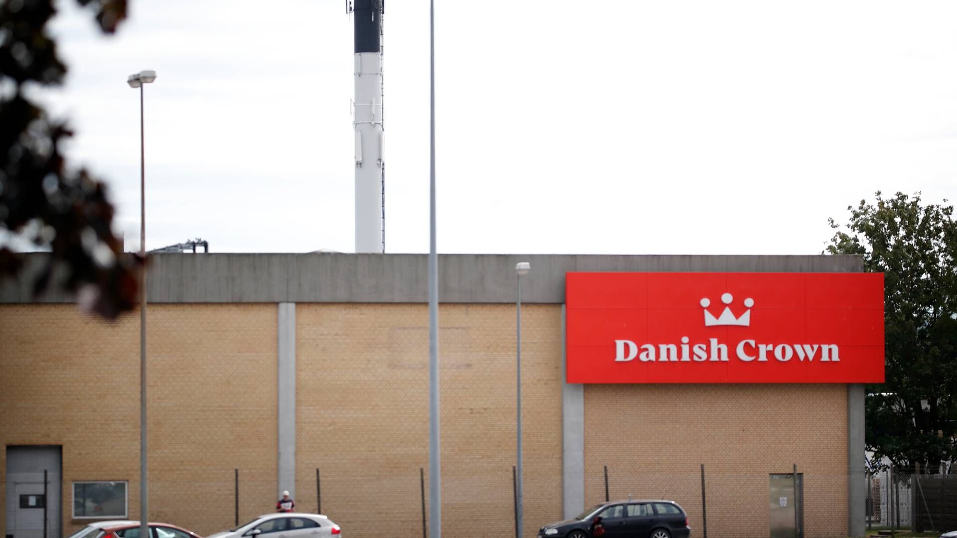 Danish Crowns slagteri i Ringsted har foreløbigt taget imod 13 sæbynitter. | Foto: Jens Dresling