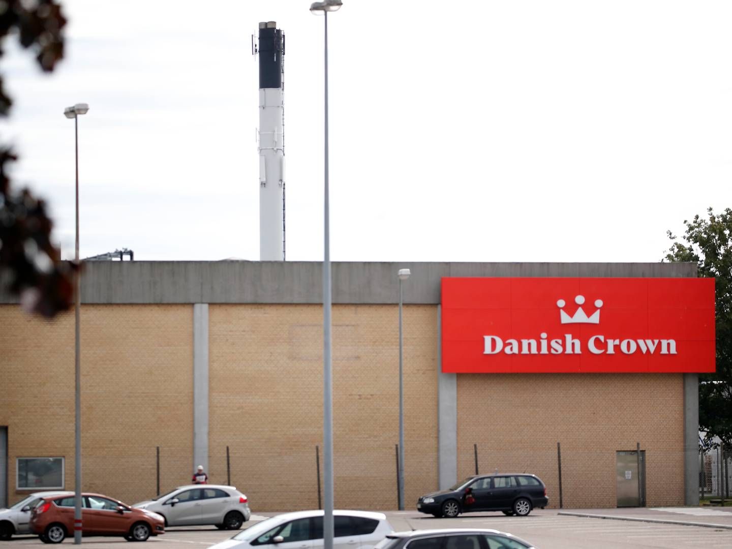 Danish Crowns slagteri i Ringsted har foreløbigt taget imod 13 sæbynitter. | Foto: Jens Dresling