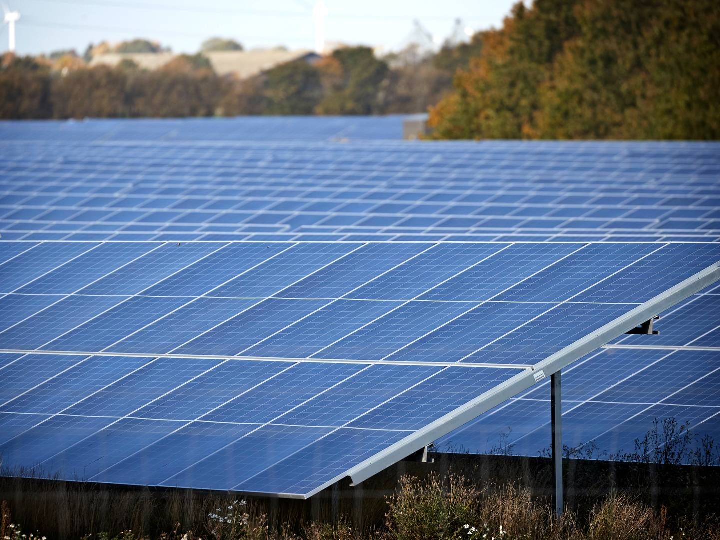 Endnu er der ingen solceller at se på de 134 hektar nær Ringe på Fyn. | Foto: Jens Dresling