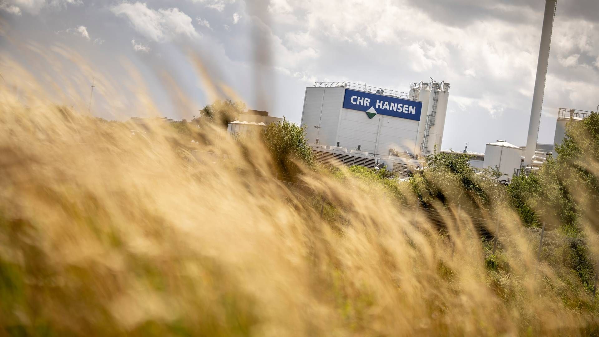 Den danske ingrediensvirksomhed Chr. Hansen har sammen med Lonza stiftet mikrobiom-selskabet Bacthera. | Foto: Mads Claus Rasmussen