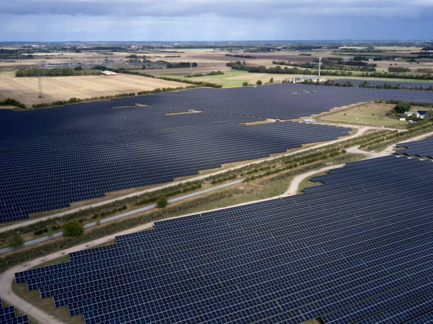 Det 304 MW store solcelleanlæg i Kassø skal forsyne European Energys PTX-projekt med 90 pct. af strømmen. | Foto: European Energy