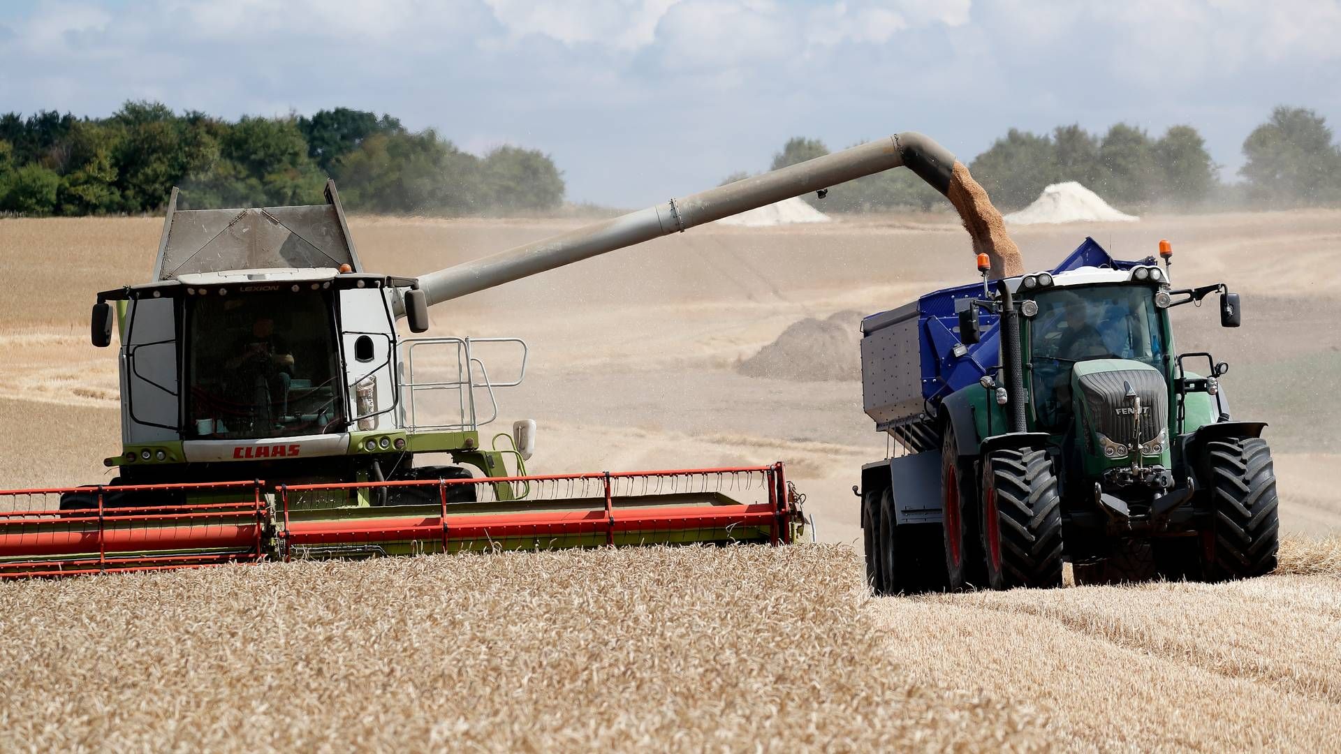 Planteavlere, såvel som svine- og mælkeproducenter, oplevede i gennemsnit et forbedret driftsresultat i 2022. | Foto: Jens Dresling