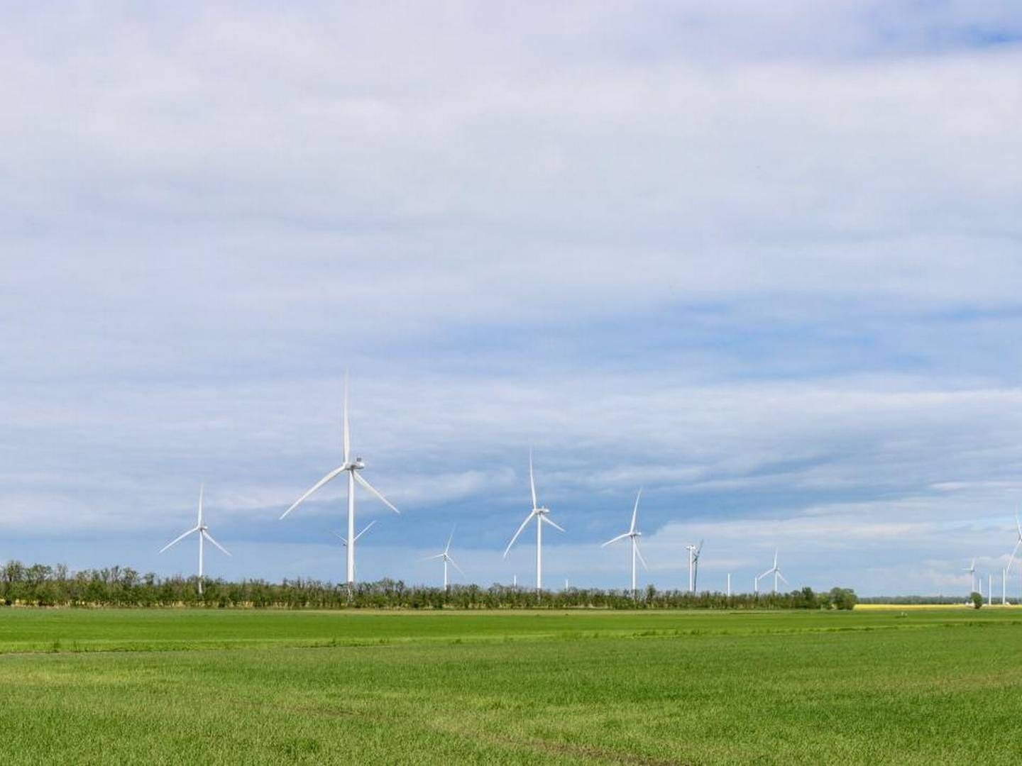 Vindmøller og solceller har aldrig produceret mere strøm, end de gjorde i årets første halvår. | Foto: Wind Denmark