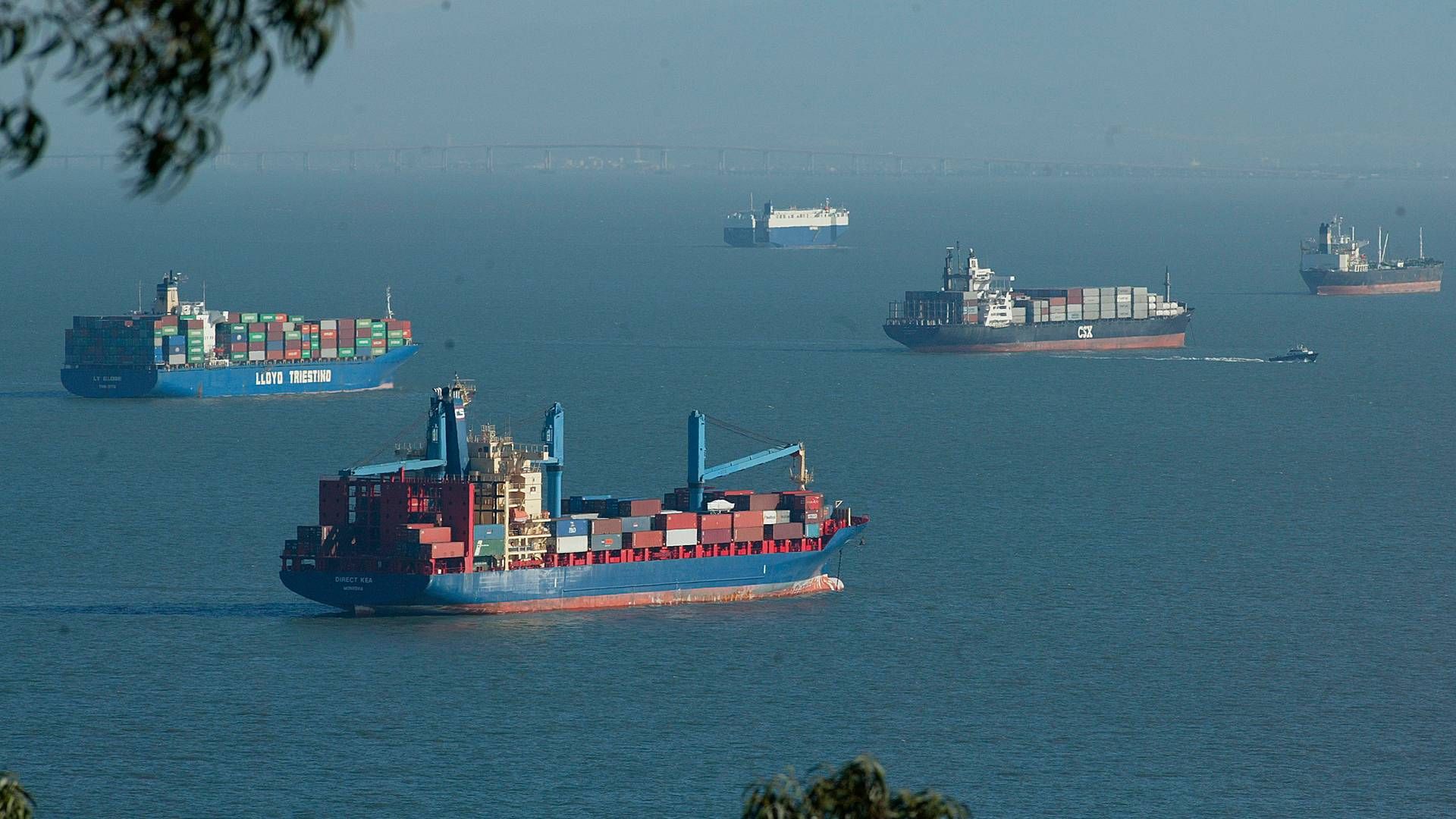 The number of new orders for box ships has plummeted to 86 in the first half-year from 295 in the first half-year of 2022. | Photo: Michael Macor/AP/Ritzau Scanpix