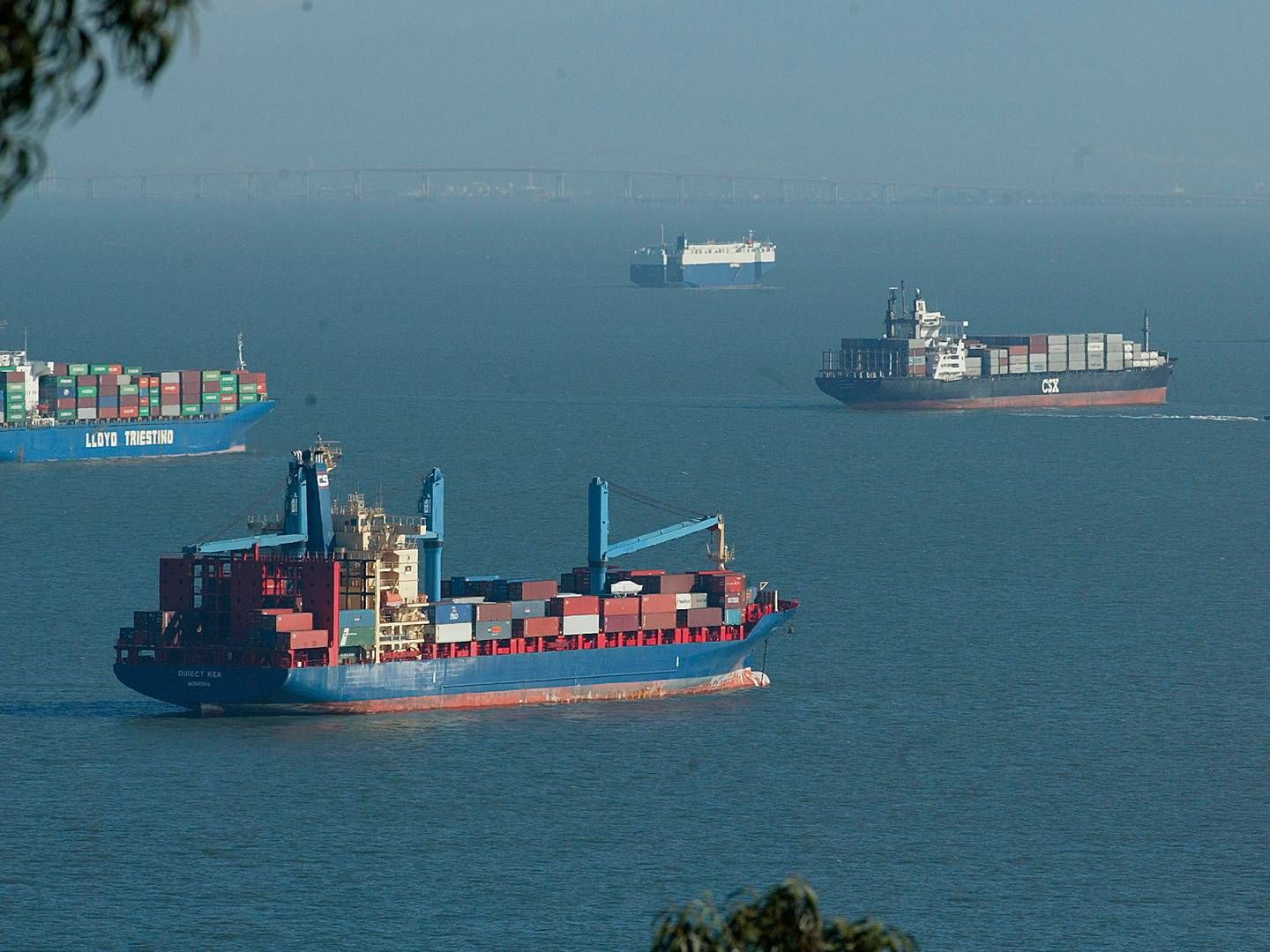 Antallet af nye ordrer på containerskibe er dykket til 86 i første halvår fra 295 i de første seks måneder af 2022. | Foto: Michael Macor/AP/Ritzau Scanpix
